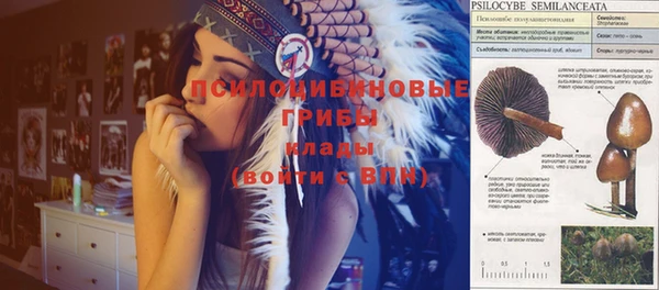 каннабис Осташков