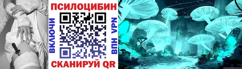 mega зеркало  Чкаловск  Псилоцибиновые грибы Psilocybine cubensis 