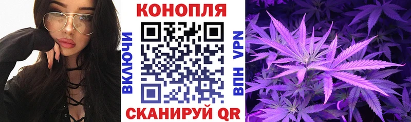 МЕГА tor  Чкаловск  Бошки марихуана план 